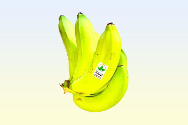 Bananes Cavendish