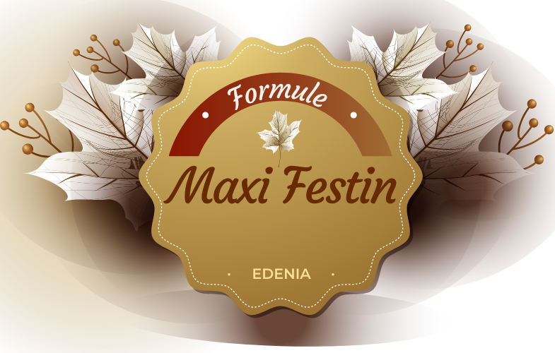 Formule Maxi Festin