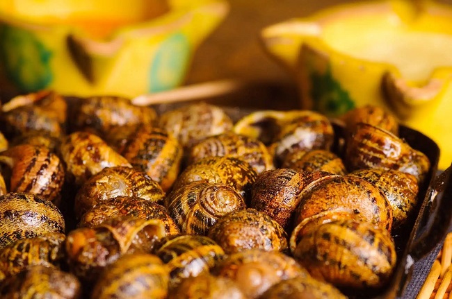 Escargots précuits (grande taille)